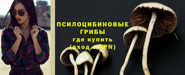 альфа пвп Заводоуковск
