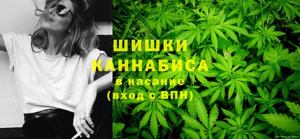 альфа пвп Заводоуковск