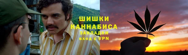 стафф Заволжск