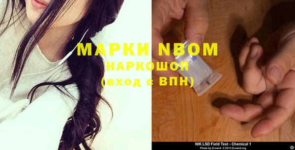 стафф Заволжск