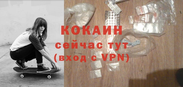 альфа пвп Заводоуковск